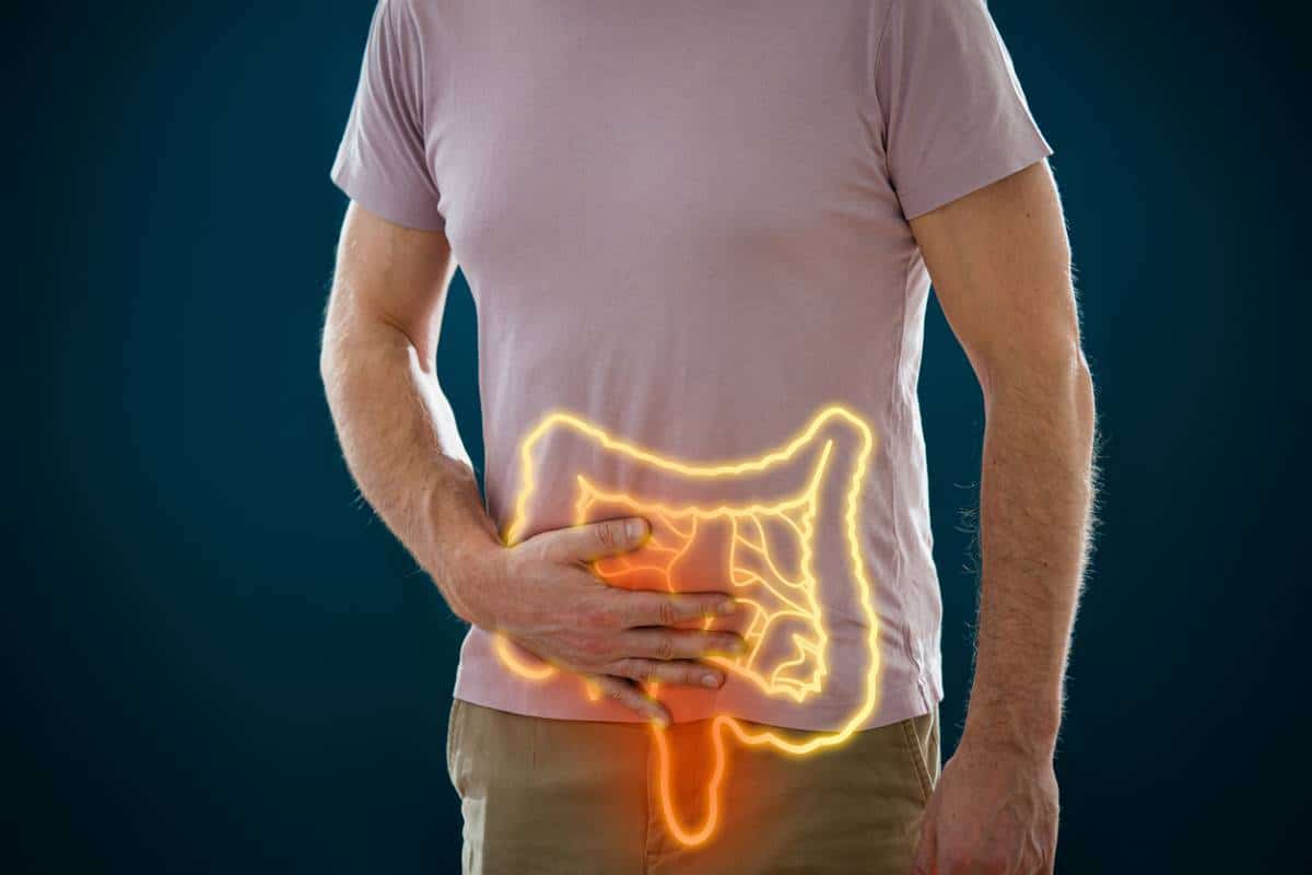 Comment Préserver L'équilibre De Sa Flore Intestinale ? - Santé Quotidienne